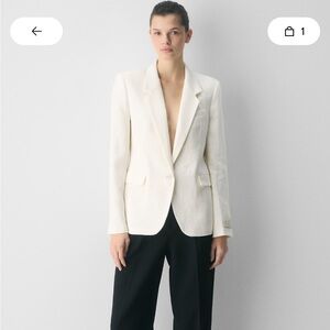 Aritzia Babaton Producer Blazer